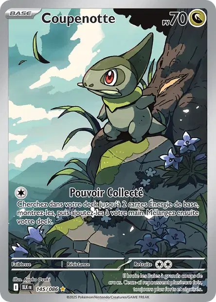 Coupenotte