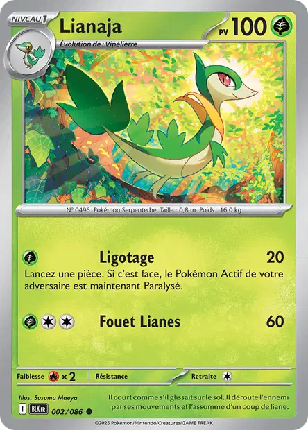 Lianaja